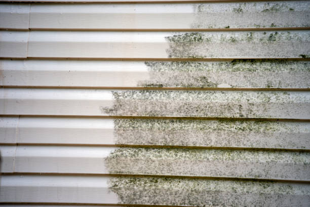 Best Garage Cleanout  in Landisville, PA
